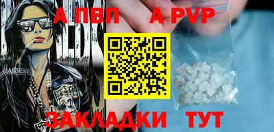 дмт Гудермес